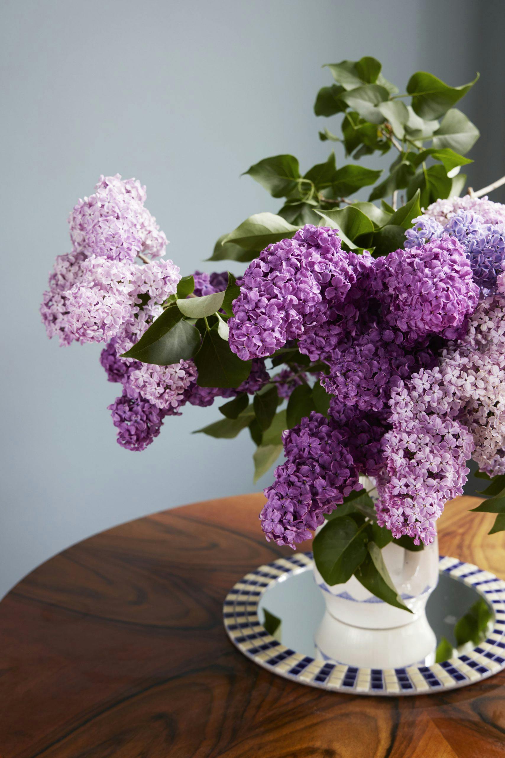 NikolajPaaby240312 Blomster i sterke farger